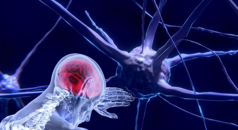Neurotecnologia permitir alterar funcionamento mental, diz cientista