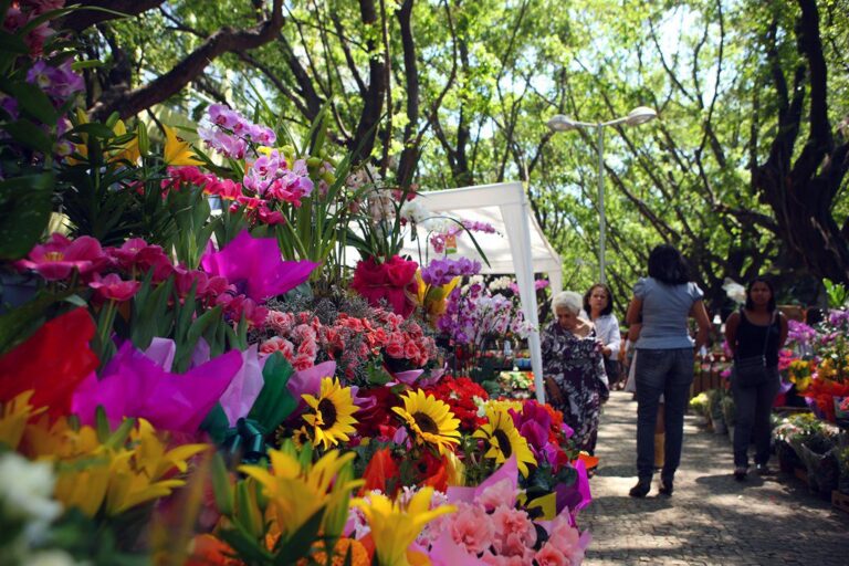 Feira de Flores reúne 150 espécies em São Cristóvão