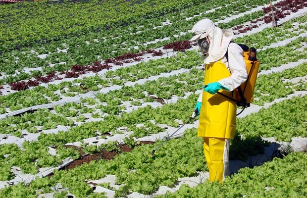 Desde 2009, o Brasil é o maior consumidor de agrotóxicos do mundo
