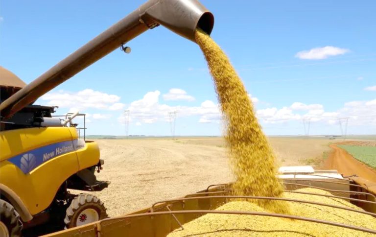 STF suspende processos sobre soja no país