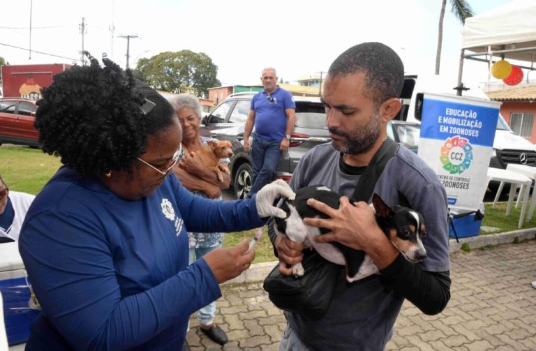 Vacinação antirrábica alcança mais de 310 mil animais imunizados